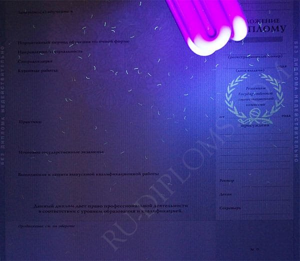 Диплом магистра 2010-2013 год 